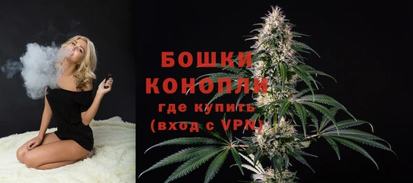 первитин Новодвинск