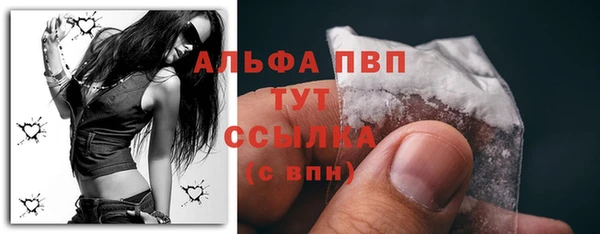 гидра Новозыбков