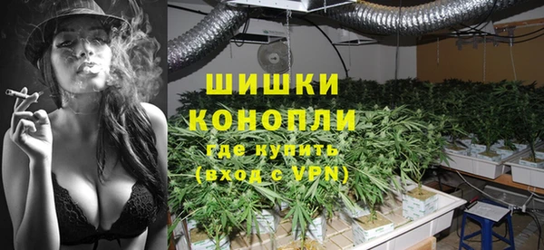 гидра Новозыбков