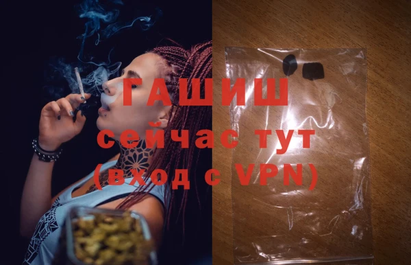 гидра Новозыбков