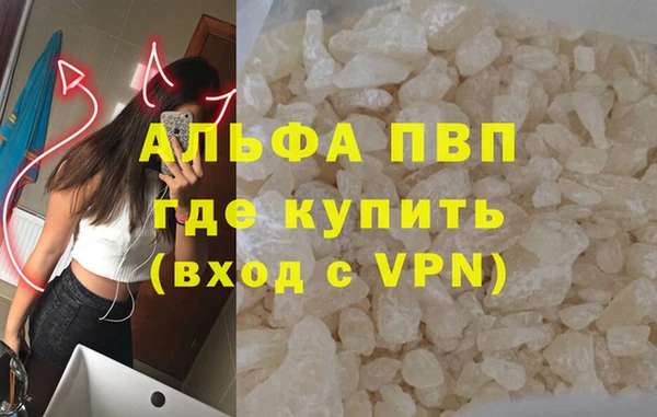 гидра Новозыбков