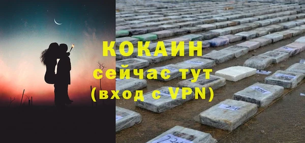 первитин Новодвинск