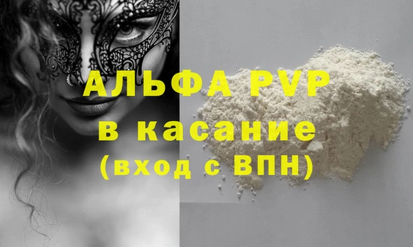 гидра Новозыбков