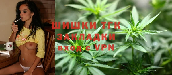 первитин Новодвинск