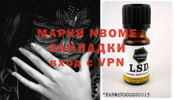 гидра Новозыбков