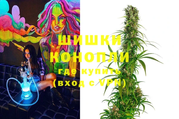 гидра Новозыбков