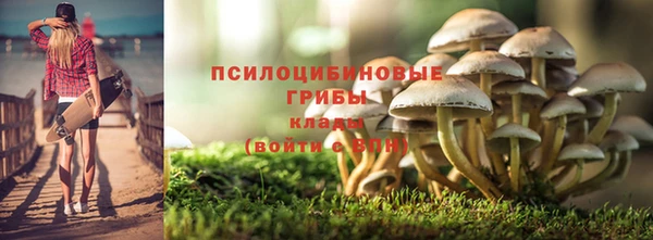 первитин Новодвинск