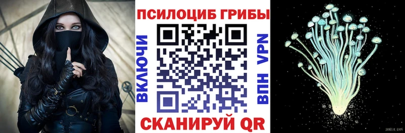 Псилоцибиновые грибы Psilocybe  где можно купить   Алатырь 