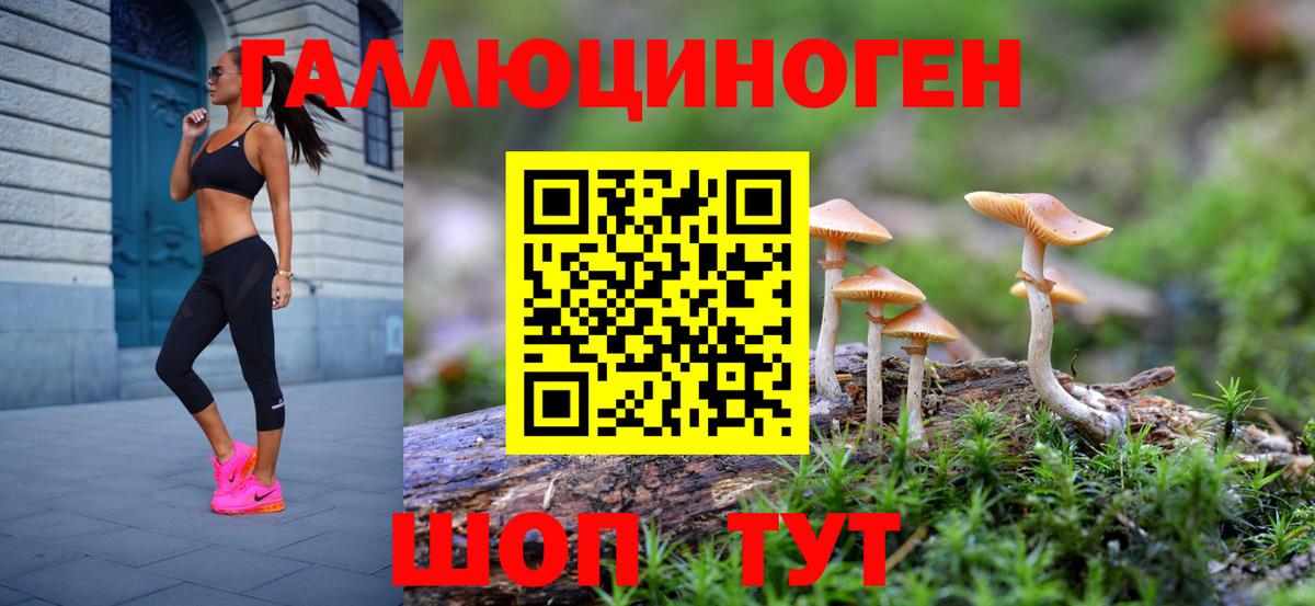 Псилоцибиновые грибы Psilocybine cubensis  Псилоцибиновые грибы Psilocybine cubensis  Вход с VPN  Алатырь 
