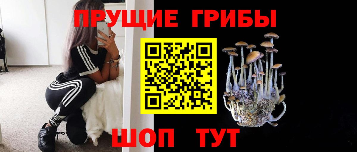 Псилоцибиновые грибы ЛСД Алатырь